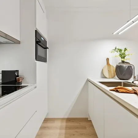 Fully Equipped With Lateral Sea View Blankenberge