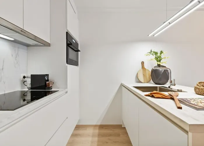 Fully Equipped With Lateral Sea View Blankenberge